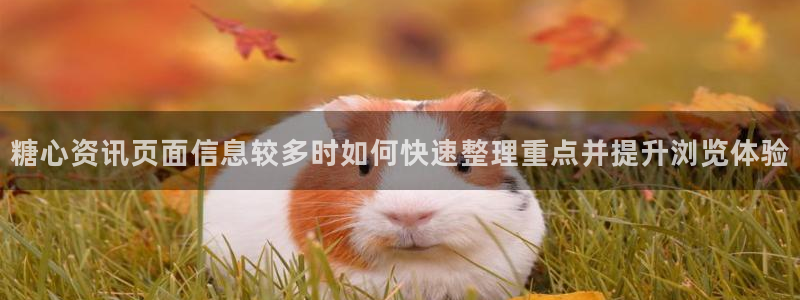糖心vlog网站免费观看