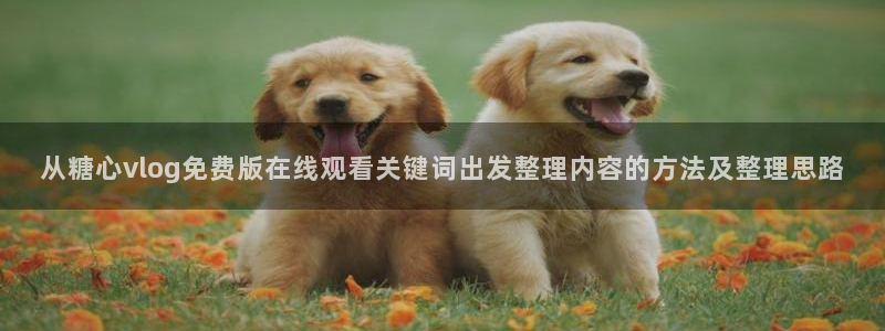 糖心vlog的视频:从糖心vlog免费版在线观看关键词出发整理内容的方法及整理思路