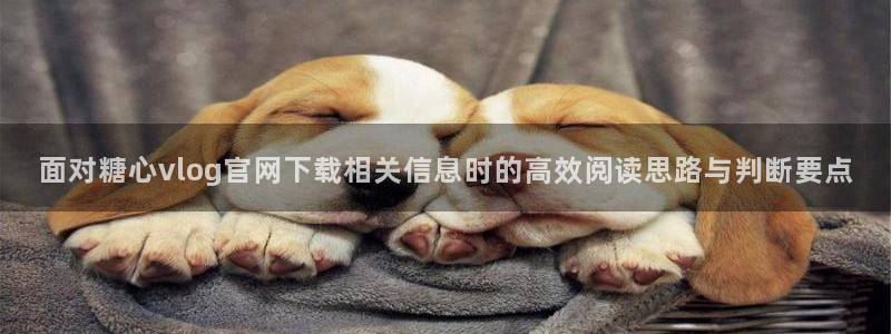 糖心vlog免费观看在线