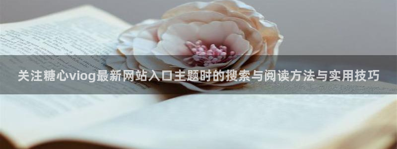 糖心传媒在线