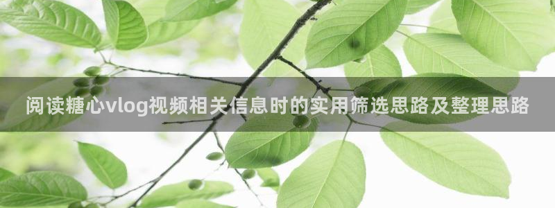 糖心vlog最新视频