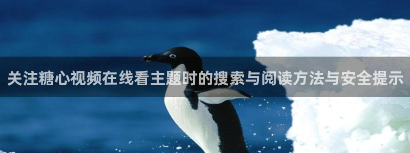 糖心视频在线看
