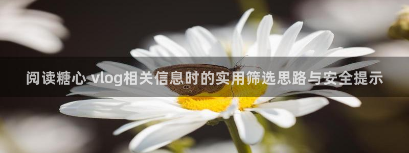 糖心视频污