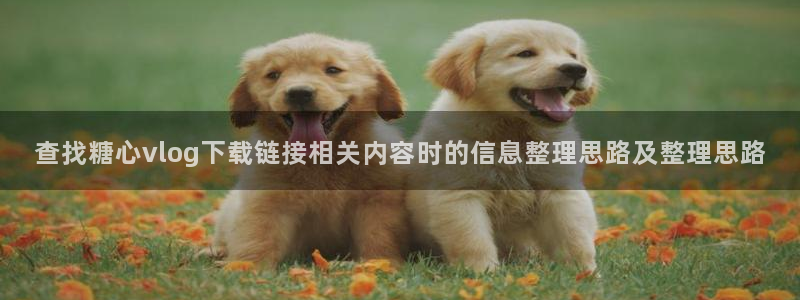 糖心免费破解版：查找糖心vlog下载链接相关内容时的信息整理思路及整理思路