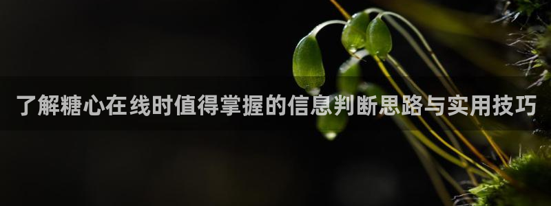 糖心vlog网页:了解糖心在线时值得掌握的信息判断思路与实用技巧