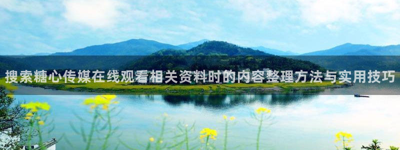 糖心vlog免费版：搜索糖心传媒在线观看相关资料时的内容整理方法与实用技巧
