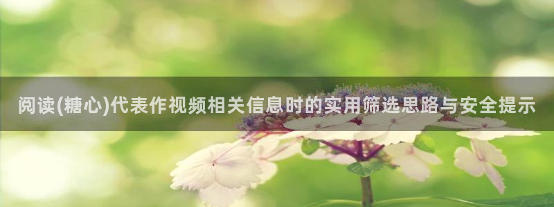 糖心在线播放免费观看：阅读(糖心)代表作视频相关信息时的实用筛选思路与安全提示