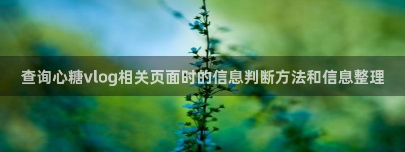 糖心vlog.:查询心糖vlog相关页面时的信息判断方法和信息整理